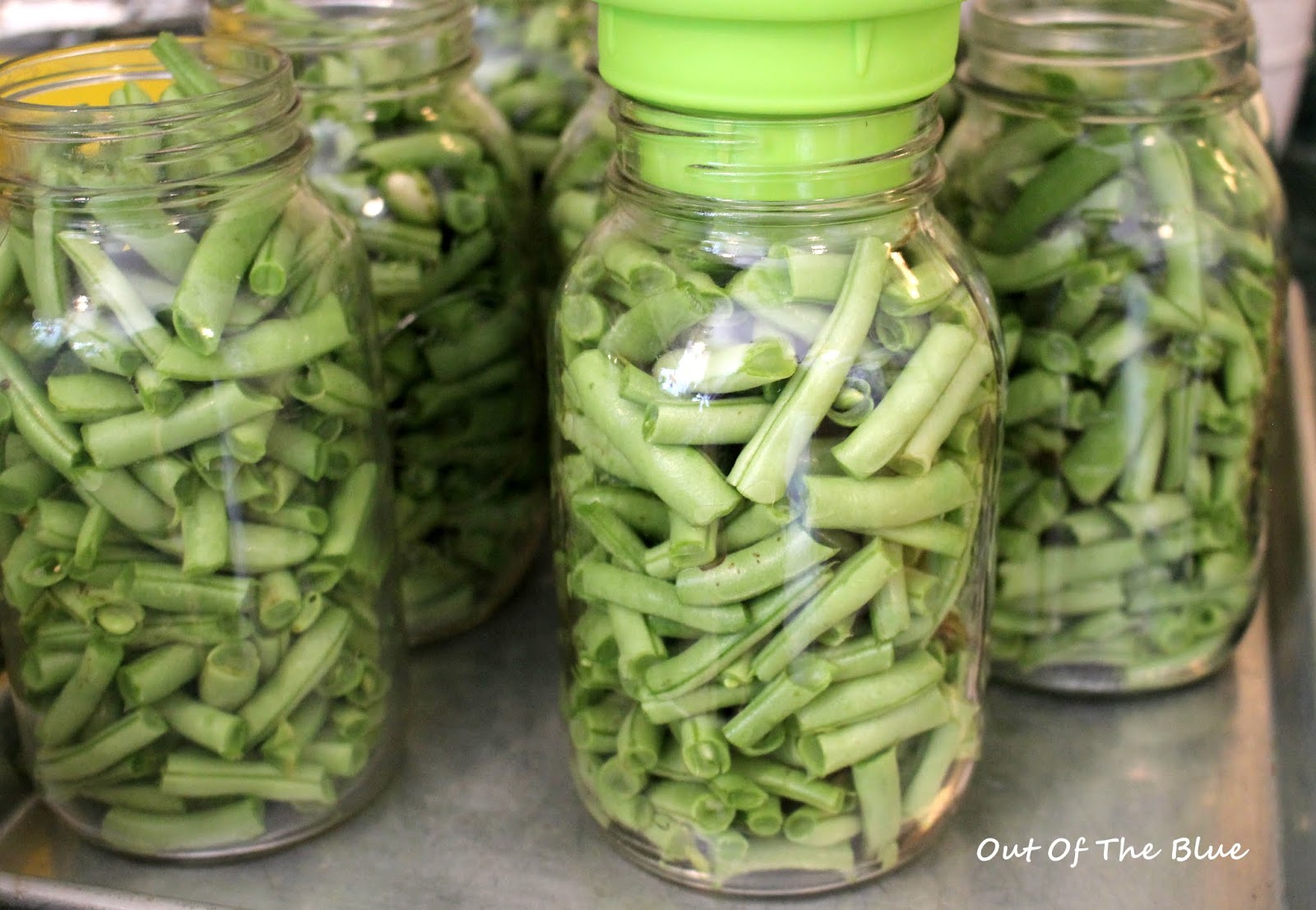 Out Of The Blue How many beans make a bushel?