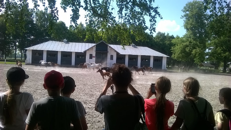 Stowarzyszenie Turystyczno-Kulturalne w Janowie Podlaskim