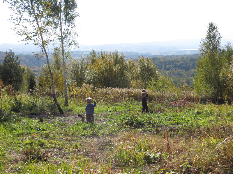 The Road to Poland Building a House in Poland, Step 1 Buying land