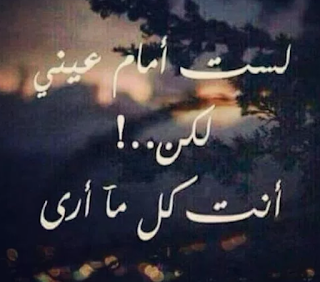 كلمات معبرة عن الحب كلمات معبرة عن الحب