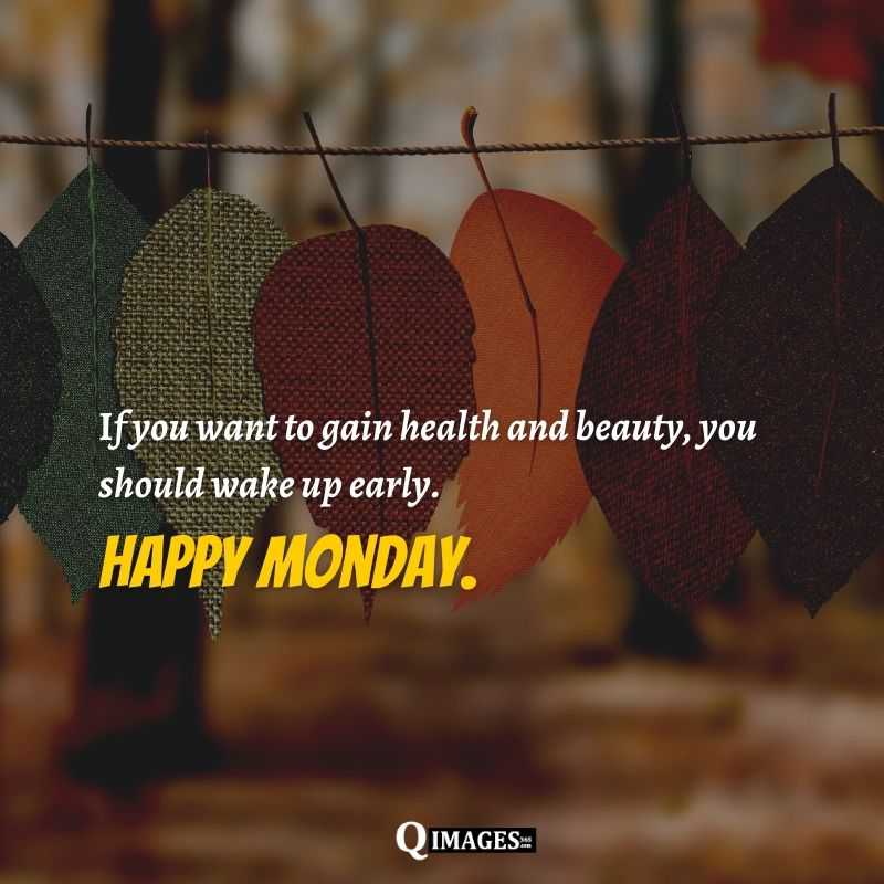 Good Morning Monday Images Good Morning Monday Images