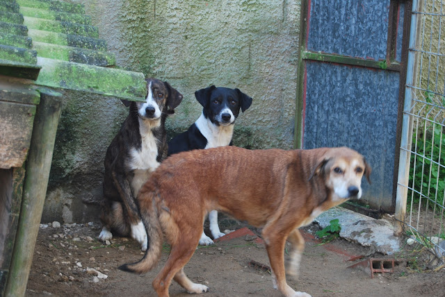Das wahre Leben So´n büschen bekloppt ist ja ok. Die Gedanken kreisen.