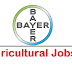 Field Trial Operations Manager| BAYER Agricultural Job