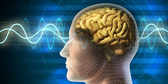 Biologi Rangkuman Sistem Koordinasi Wkwkpedia