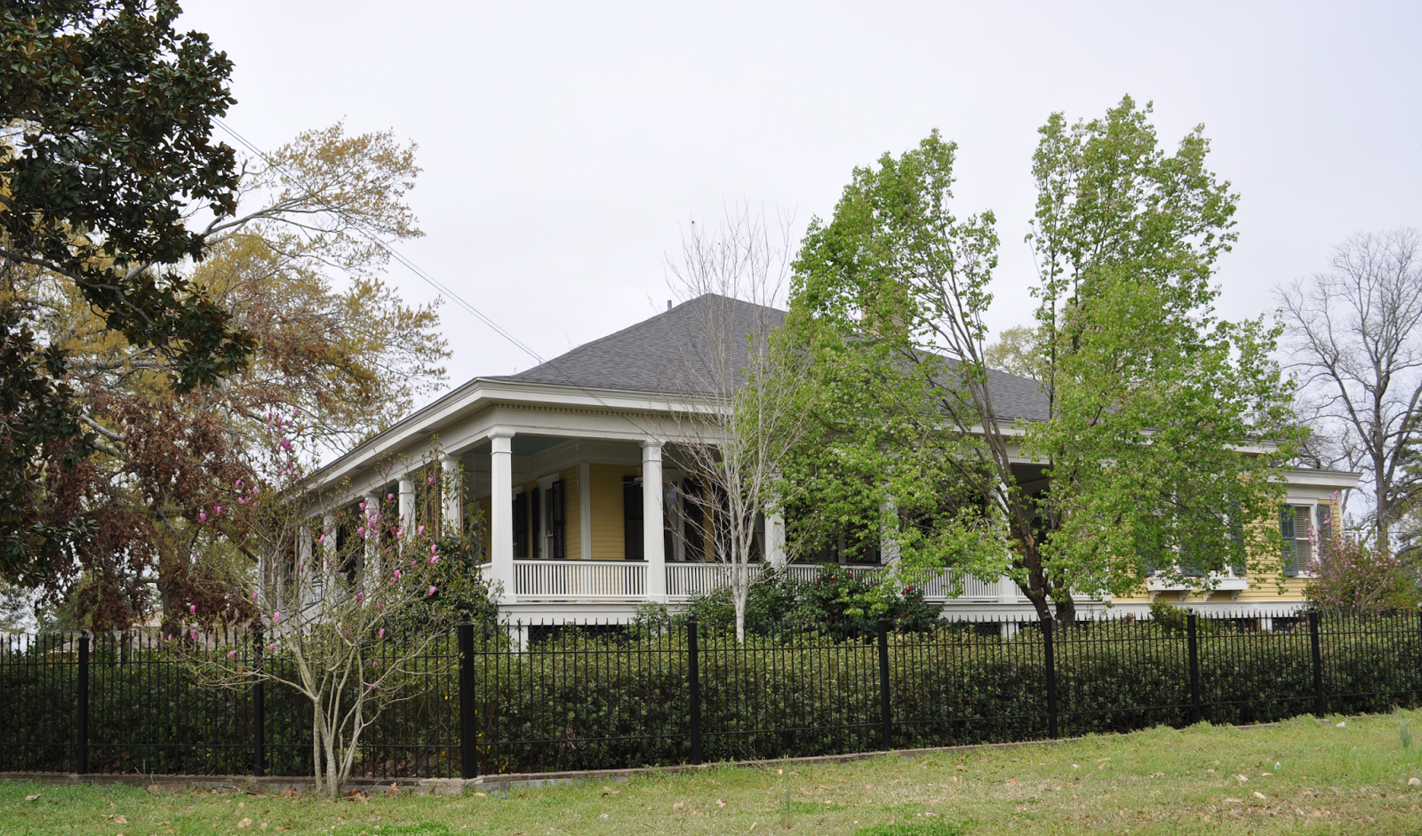 Southern Portrait Project Houses and Retail Buildings in Monroe, LA