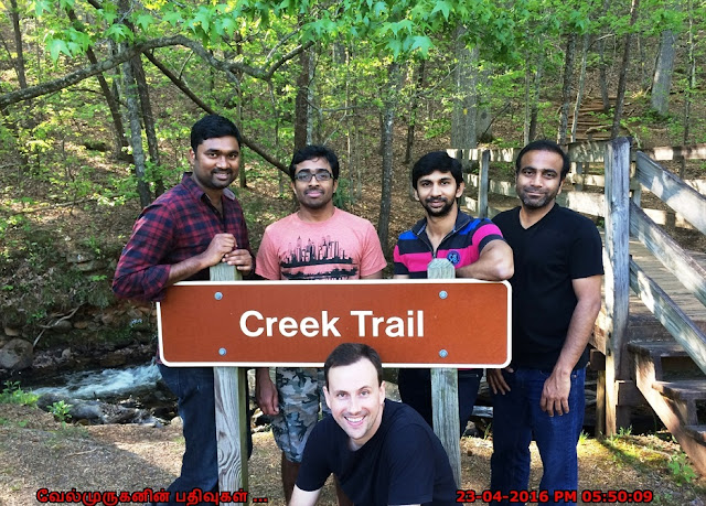 Creek Trail in Amicalola Falls