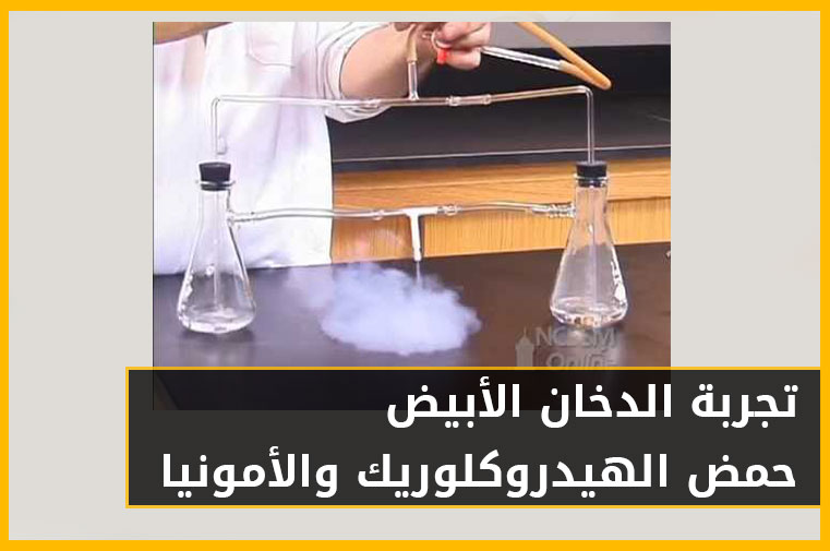 White Smoke Experience Hydrochloric acid and ammonia  تجربة الدخان الأبيض | حمض الهيدروكلوريك والأمونيا