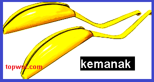 Kemanak adalah instrumen gamelan yang mempunyai bentuk seperti sendok, dan pisang