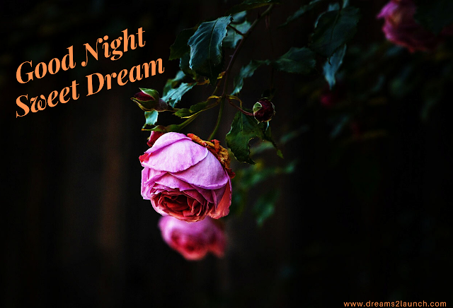 good night images hd good night images hd