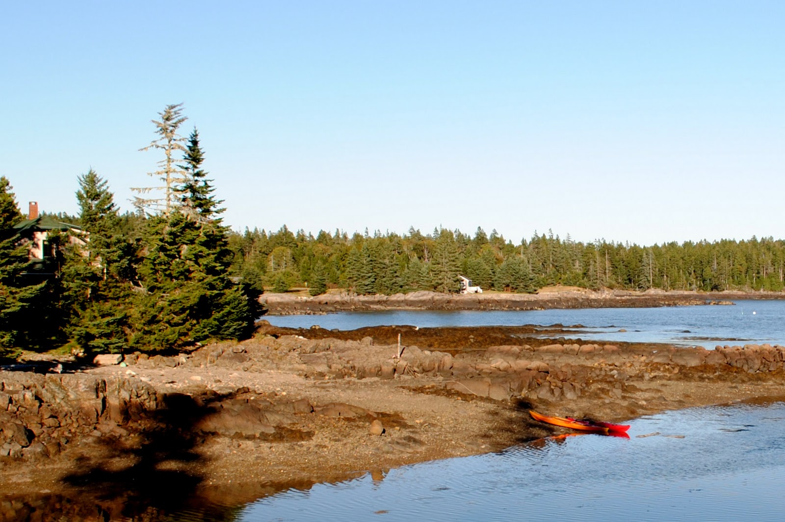 Field Notes and Photos Ripley Neck in Downeast Maine.