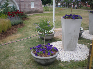 Consejos de jardineria, paisajismo y huerta: JARDINERIA EN MACETAS