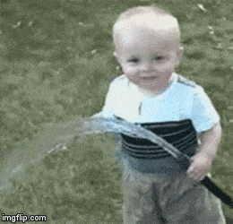 10 Best Websites for Finding the Best GIFs