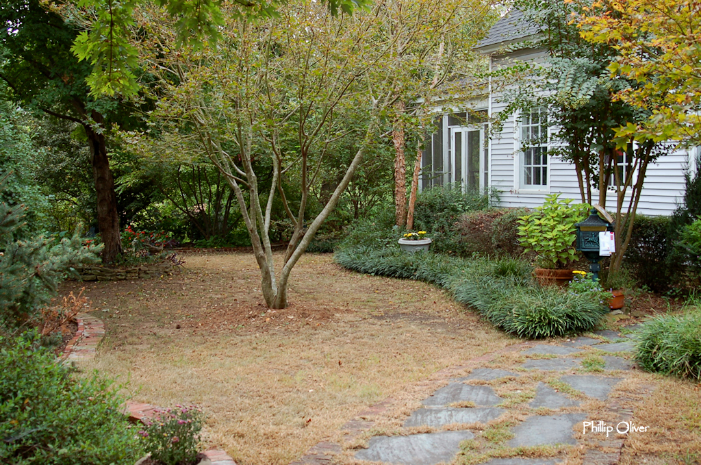 Lawn redo finishing up