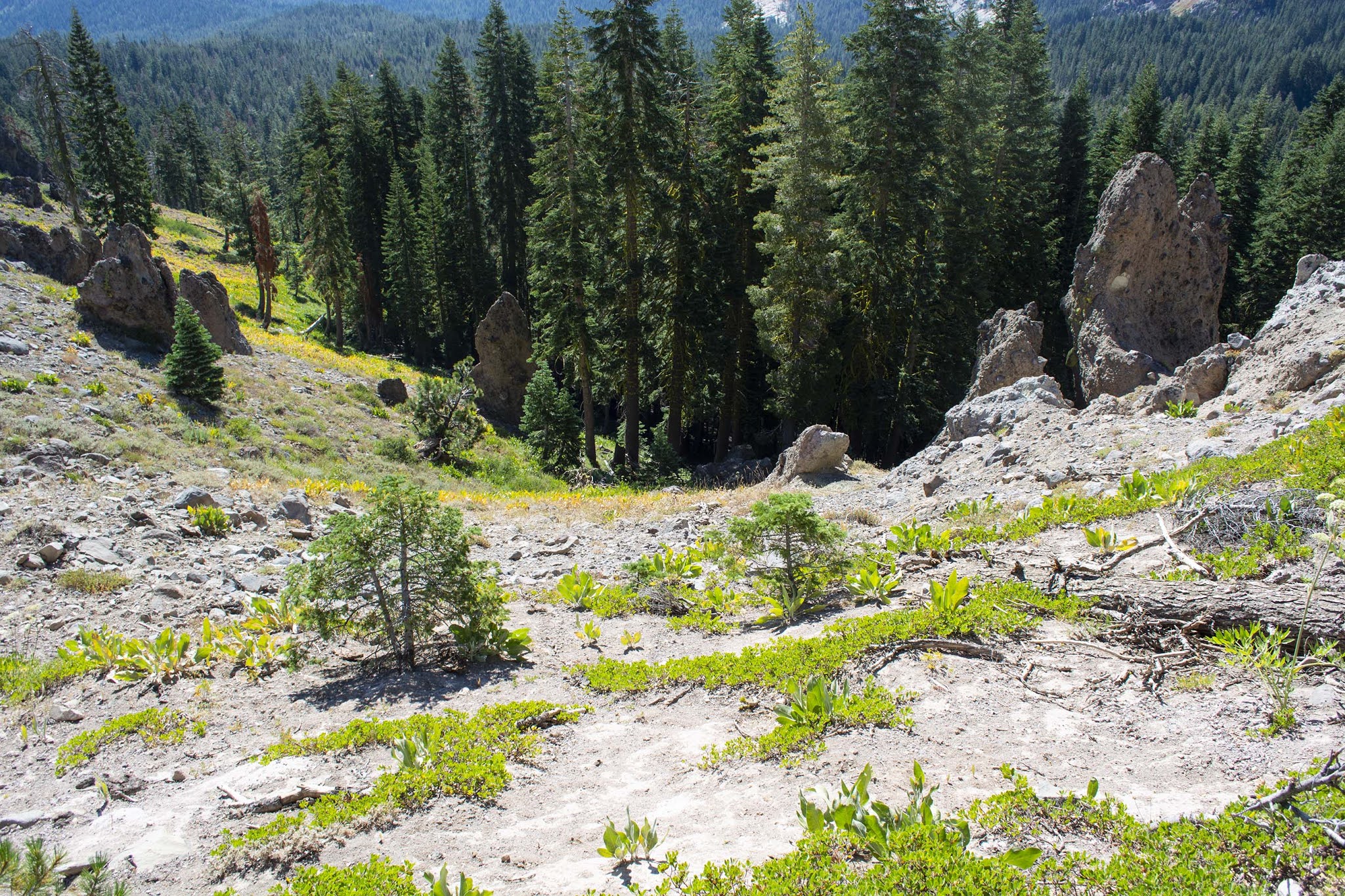 The Great Silence The Historic Roller Pass Hike