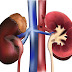 Treatment of Acute Kidney Injury