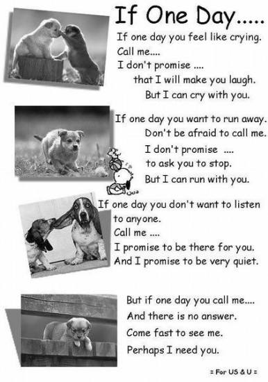quotes for your best friend. I guess in our mind we have certain qualities we look for in a friend.