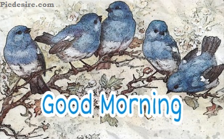 Good Morning English | 15 Best Good Morning Images in English Good Morning English | 15 Best Good Morning Images in English