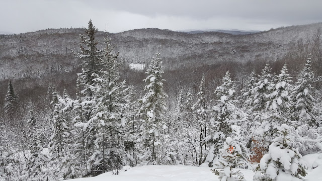 Point de vue du Nid de l'Aigle