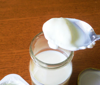 Ansatz aus gekauftem Joghurt und Milch gelingt auch ohne Strom nur durch die Heizungswärme