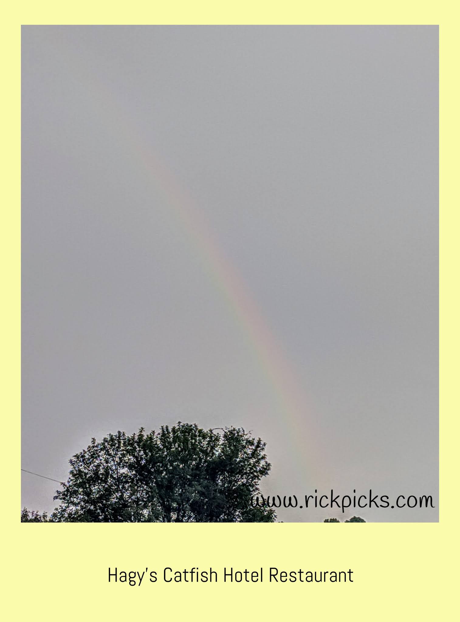 Rick's Picks Hagy's Catfish Hotel Restaurant, Shiloh, TN