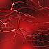 Επιστήμονες έφτιαξαν αιμοφόρα αγγεία στο εργαστήριο