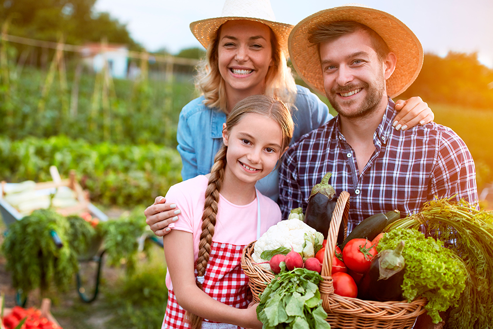 Guajeru: Secretaria de Agricultura abre inscrições para o cadastro de produtores no PAA – Programa de Aquisição de Alimentos Guajeru: Secretaria de Agricultura abre inscrições para o cadastro de produtores no PAA – Programa de Aquisição de Alimentos