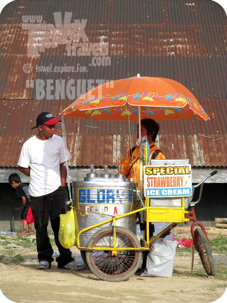 Strawberry Fields in the Philippines? Head to Benguet - Travex Travels