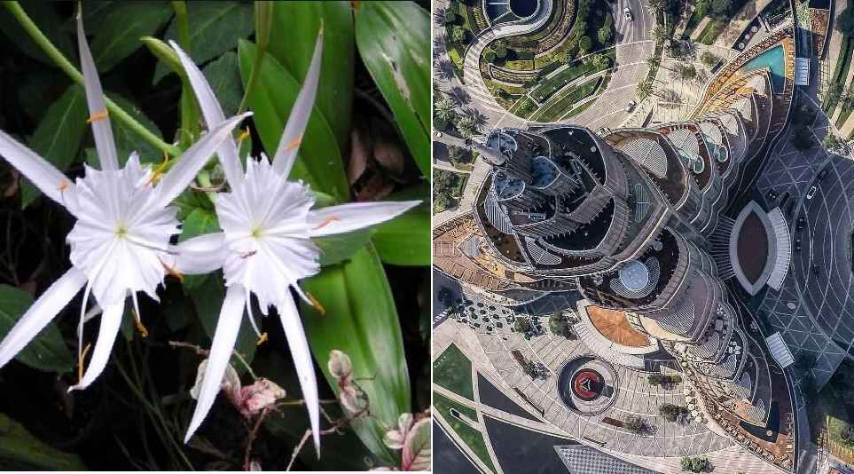 Interesting Facts About Burj Khalifa