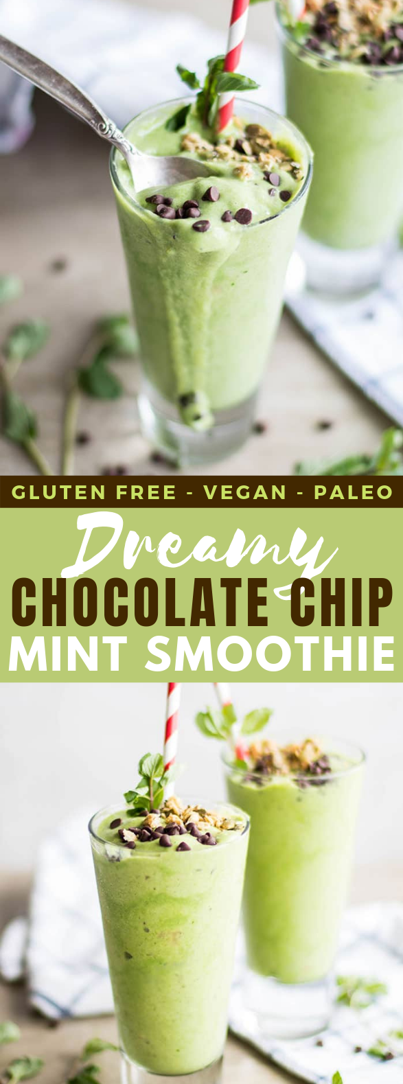 Dreamy Chocolate Chip Mint Smoothie #drinks #healthy