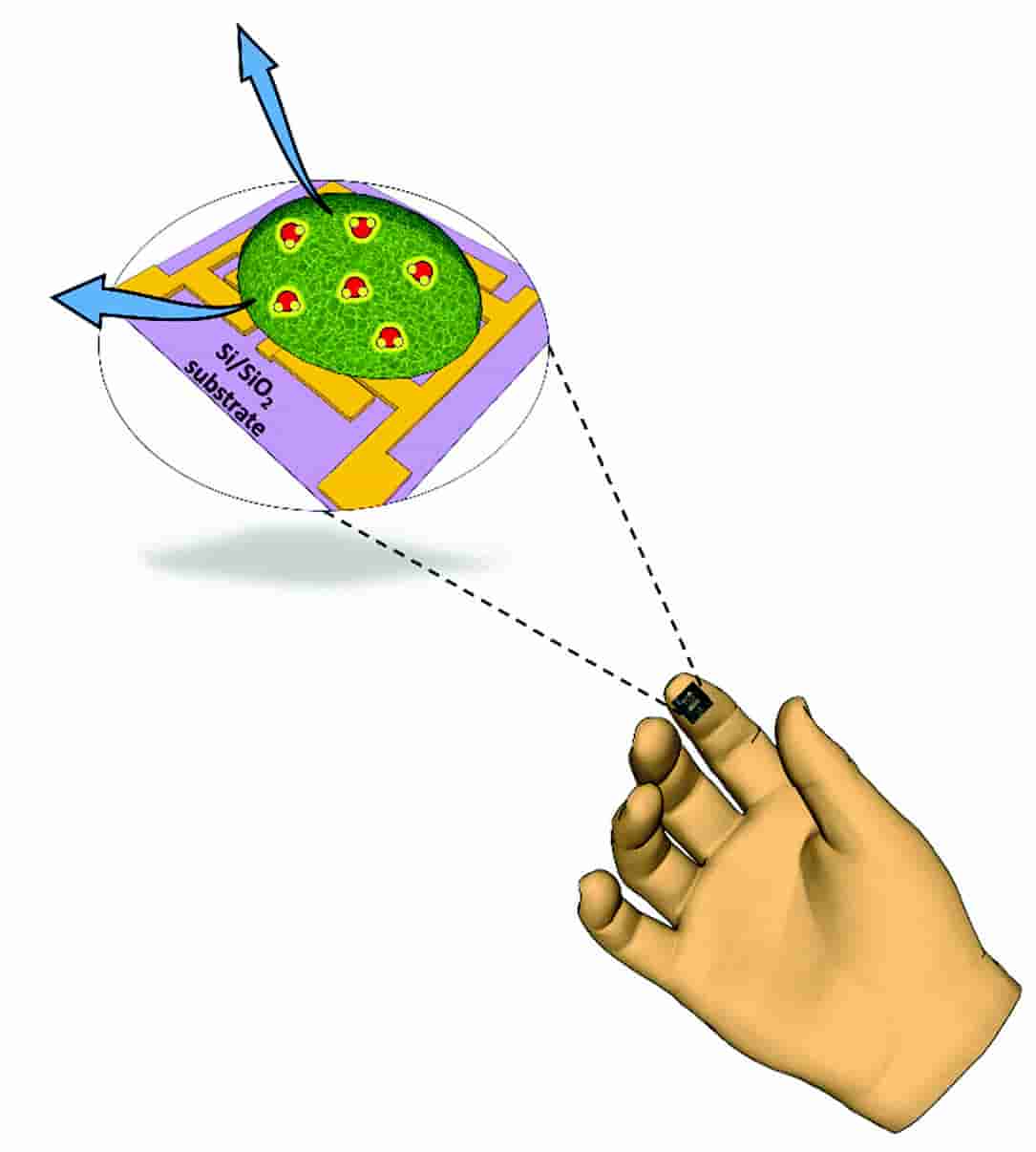 electric nose that can detect hydrogen sulfide gas