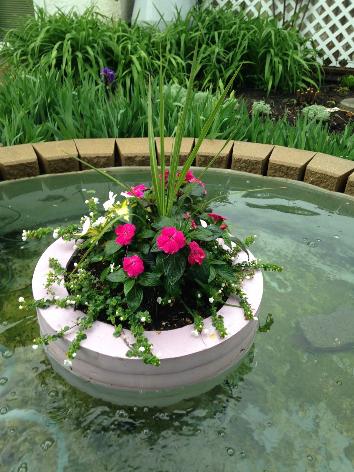 Pond & Water Gardening