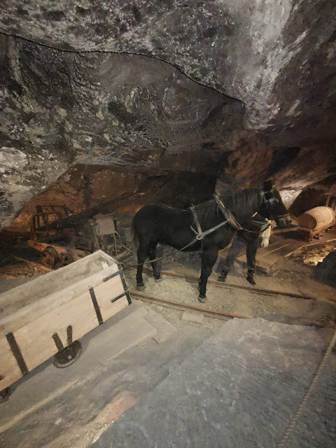 Mines+Wieliczka+sale Mines+Wieliczka+Poland