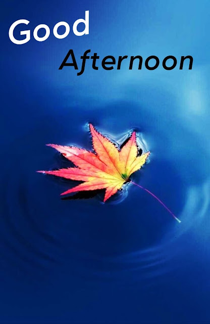 Good Afternoon Images New || New Good Afternoon Images - Mixing Images