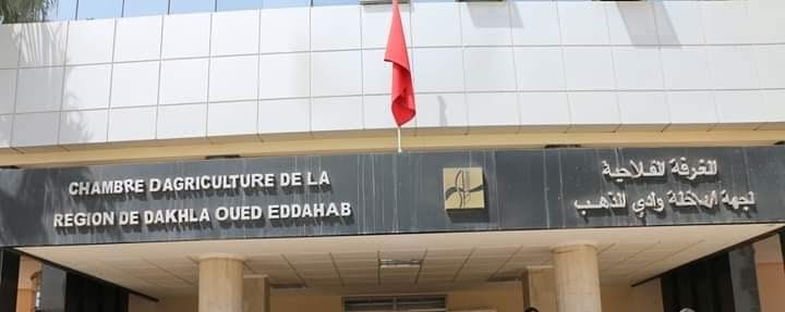كونكور الغرفة الفلاحية لجهة الداخلة وادي الذهب Chambre d'Agriculture de كونكور الغرفة الفلاحية لجهة الداخلة وادي الذهب Chambre d'Agriculture de