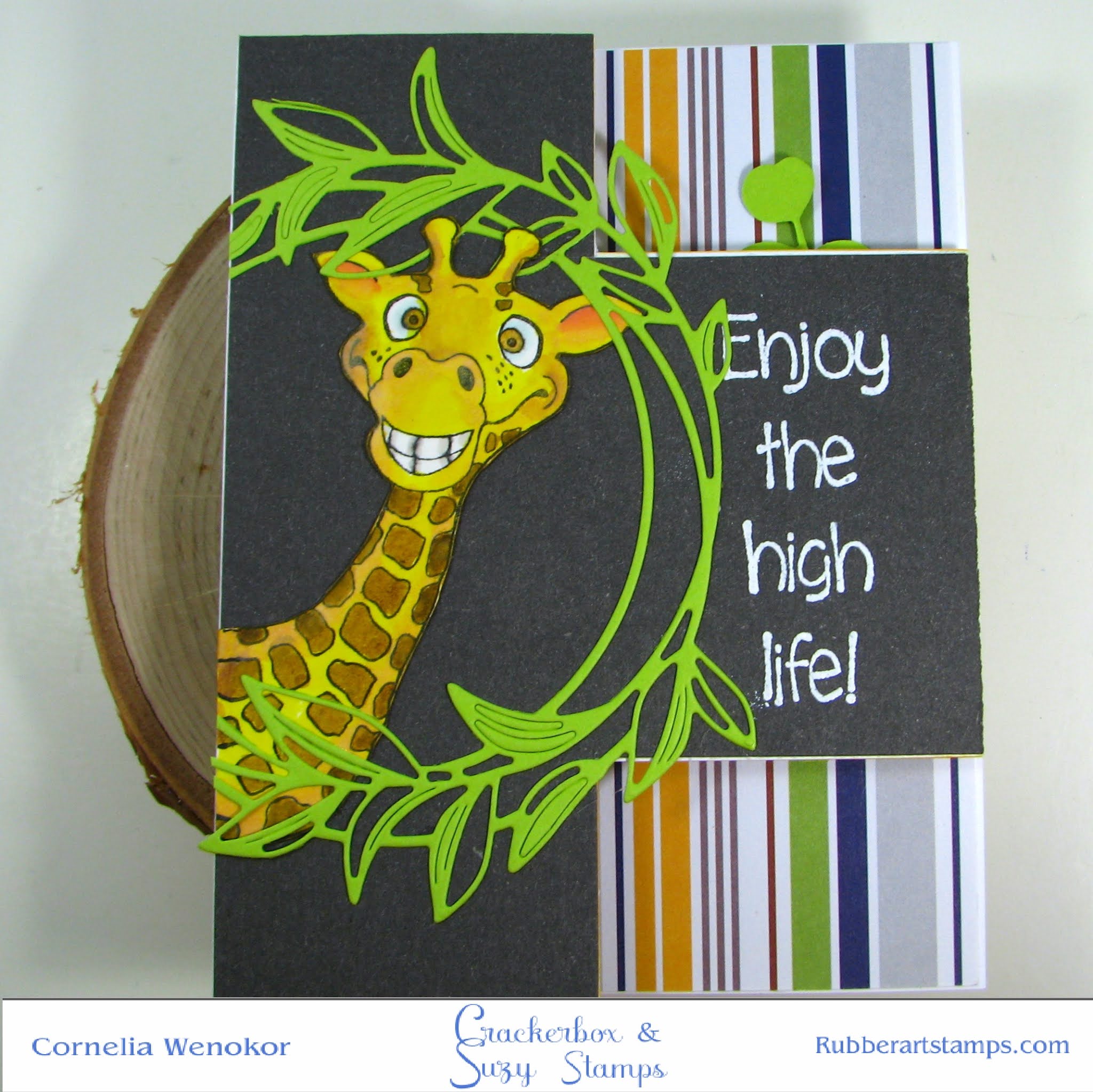 Crackerbox & Suzy Stamps Card Kit 11