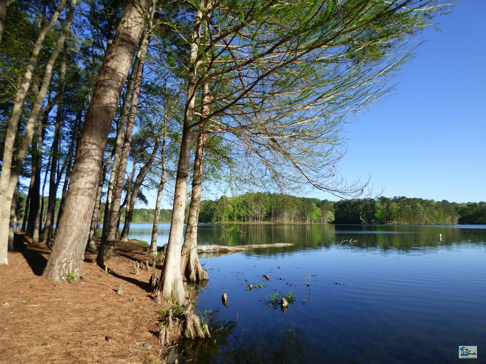 Six Nomades Morton Mississippi USA