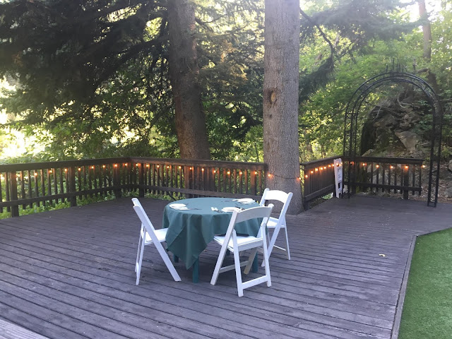 Dining at Log Haven's the Dogs Days of Summer Dining at Log Haven's the Dogs Days of Summer