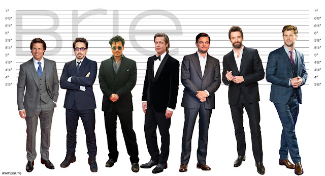 Brad Pitt Height - How Tall is He Really? - Brie