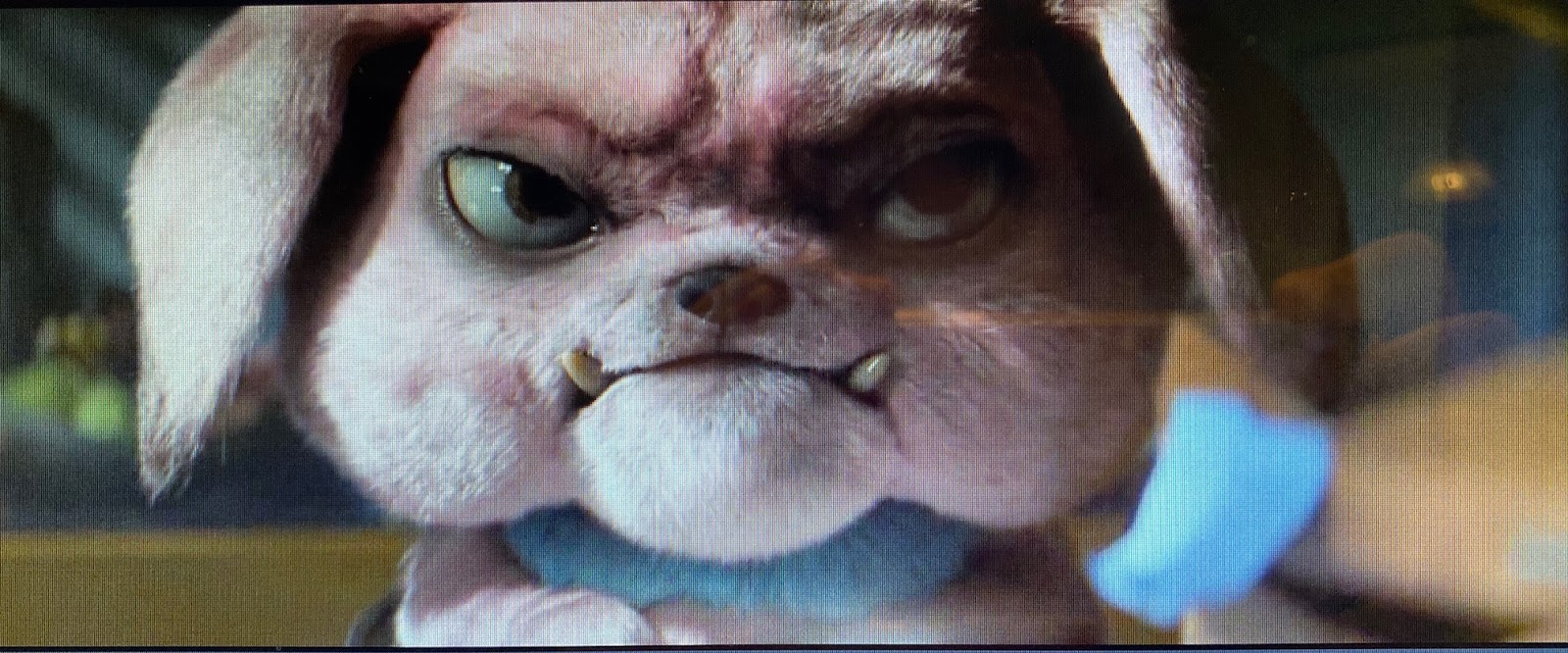 Pokémon from Pokémon Detective Pikachu