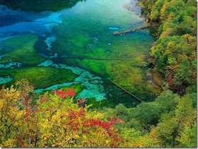 Beautiful Natural Scene