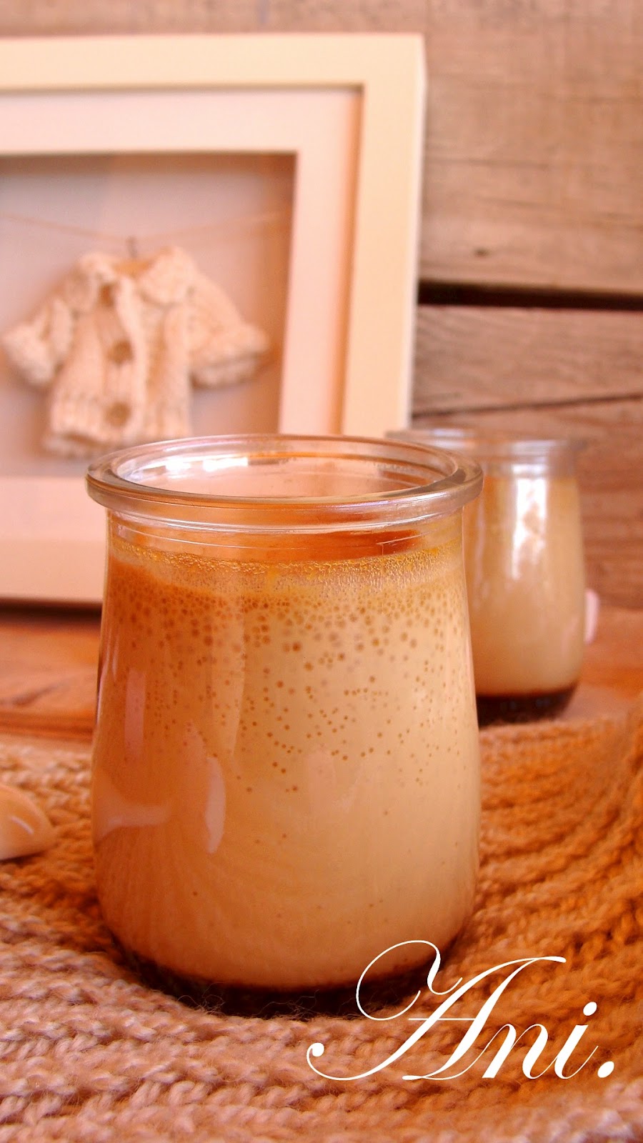 La Cocina de Ani: Flan de dulce de leche facilísimo y delicioso