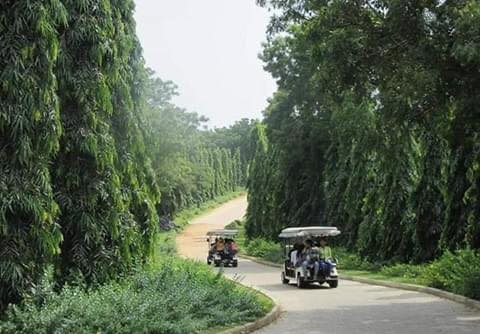 වසර 131 පසු නිර්මාණය වූ - මිරිජ්ජවිල 🎋🍃🌱🐝🦋 (Mirijjawila Dry Zone Botanical Garden) - Your Choice Way