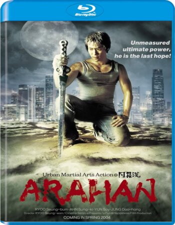 Arahan (2004) Dual Audio Hindi 720p BluRay x264 1GB ESubs Movie Download