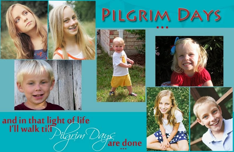 Pilgrim Days