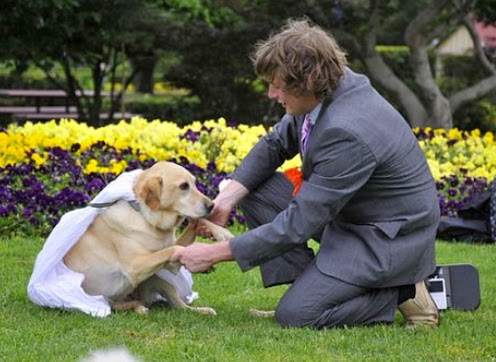 man marries dog