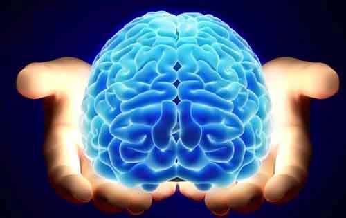 Επιστήμονες ανατρέπουν ότι χρησιμοποιούμε μόνο το 10% του εγκεφάλου