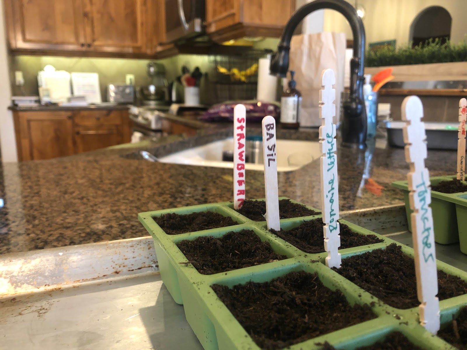 The Sawyer & Scout Show