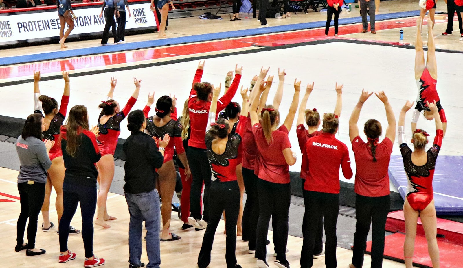 carolina on my mind NC State Women's Gymnastics