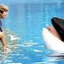 No Animals Were Harmed - All About Animal Actors