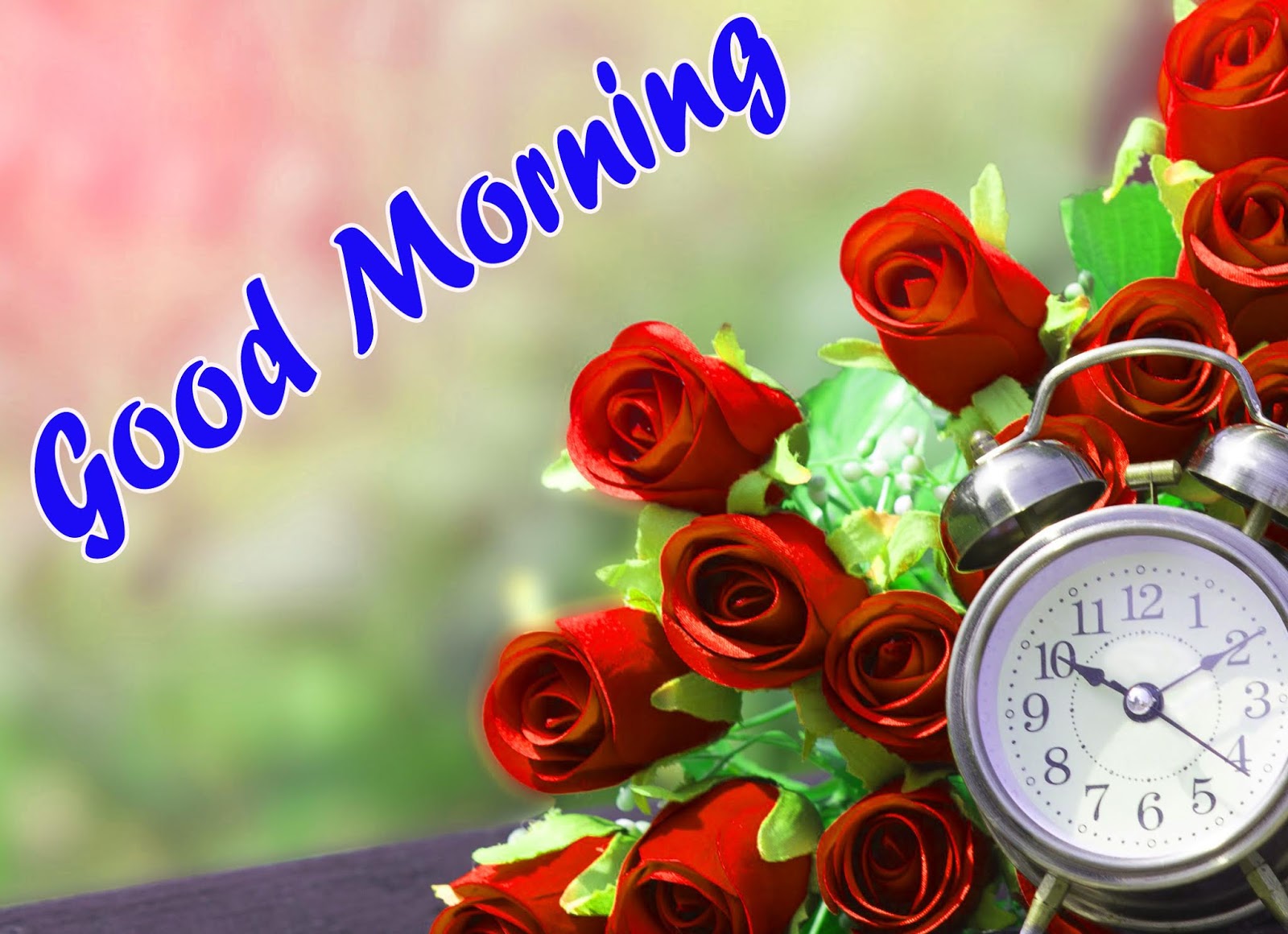 50+ Very Sweet good morning images for whatsapp free download good morning flower images free download